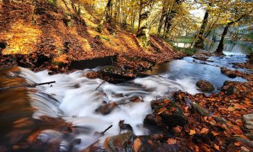 Batı Karadeniz Turu