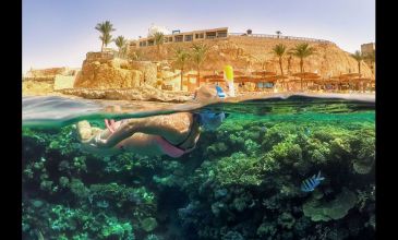 İzmir Hareketli Pegasus İle Kızıldeniz Rüyası Prestij Sharm El Sheıkh Turu 3 Gece