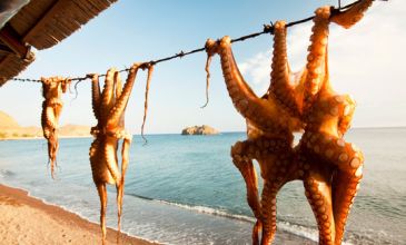 Ramazan Bayramı Özel Midilli Turu